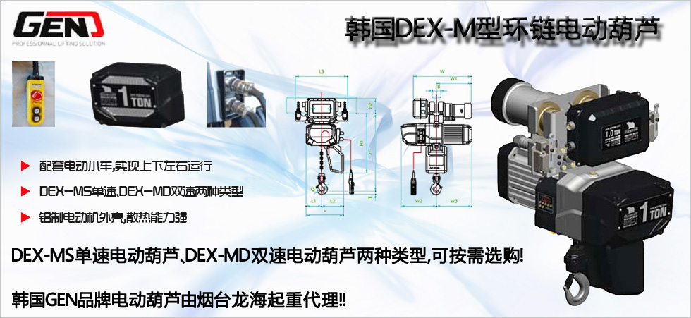 DEX-M型GEN環(huán)鏈電動葫蘆圖