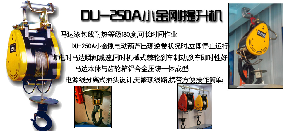 DU-250A小金剛電動(dòng)提升機(jī)
