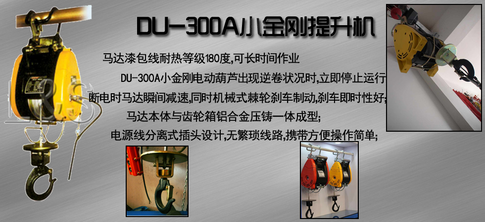 DU-300A小金剛電動提升機(jī)